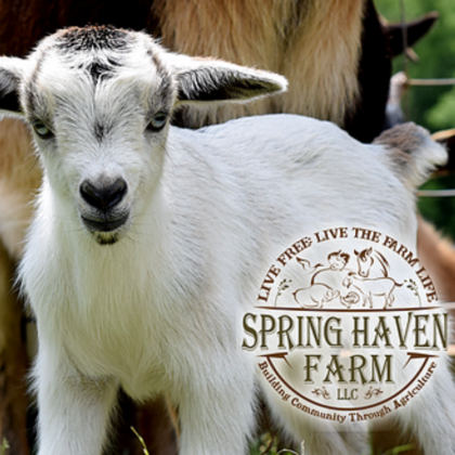 Springhaven Farm Down on the Farm Archives | Visit Hillsborough, NC